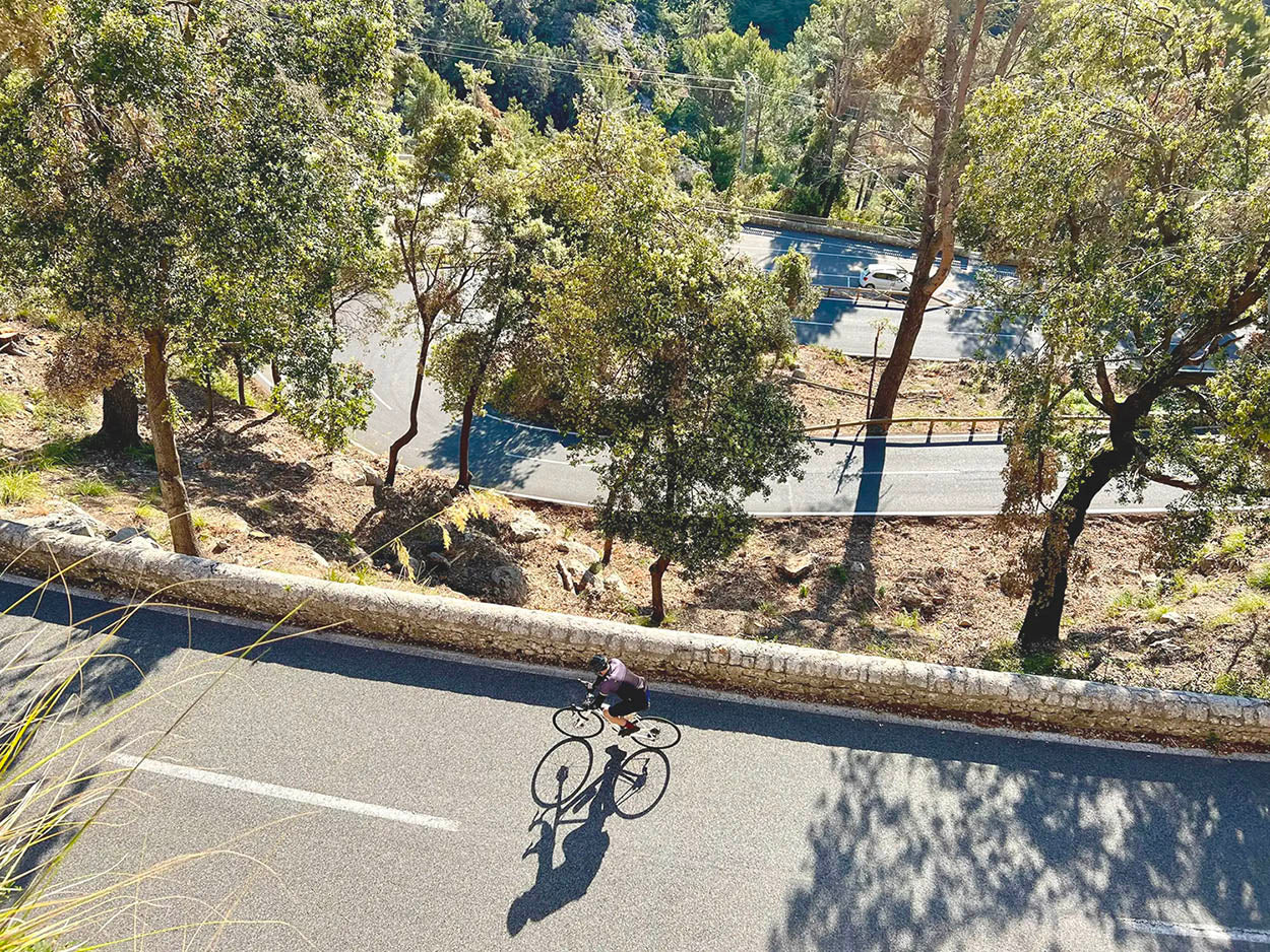 Overhead view of the hairpins