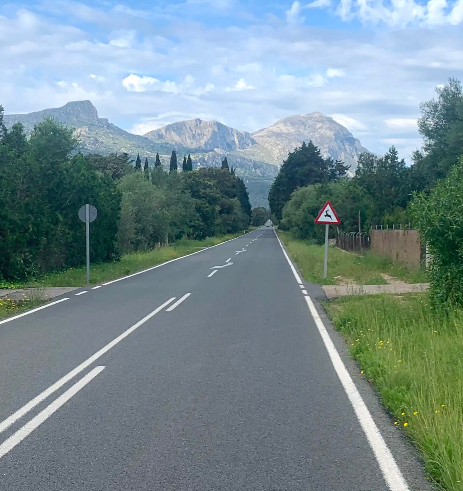 Flat road form Pollenca Old town to the base of the Femenia Climb