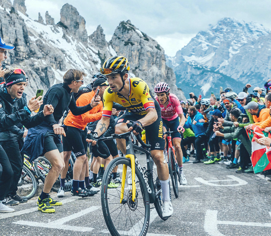 Mountain Winner