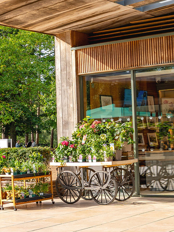 Virginia Waters Lake