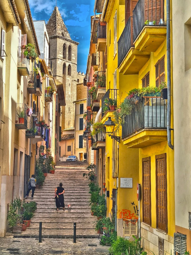 Palma Town