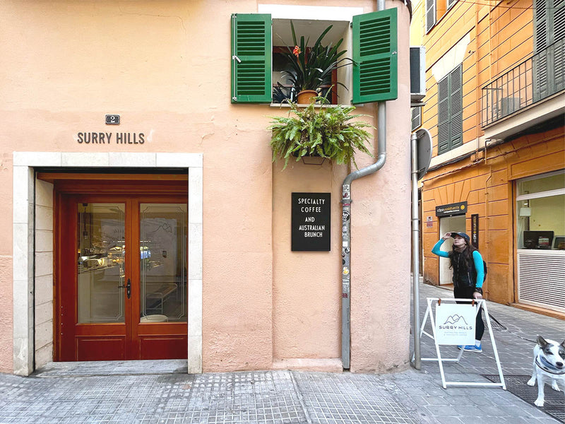 Surry Hills, Palma